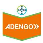 Adengo