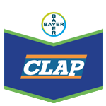 Clap