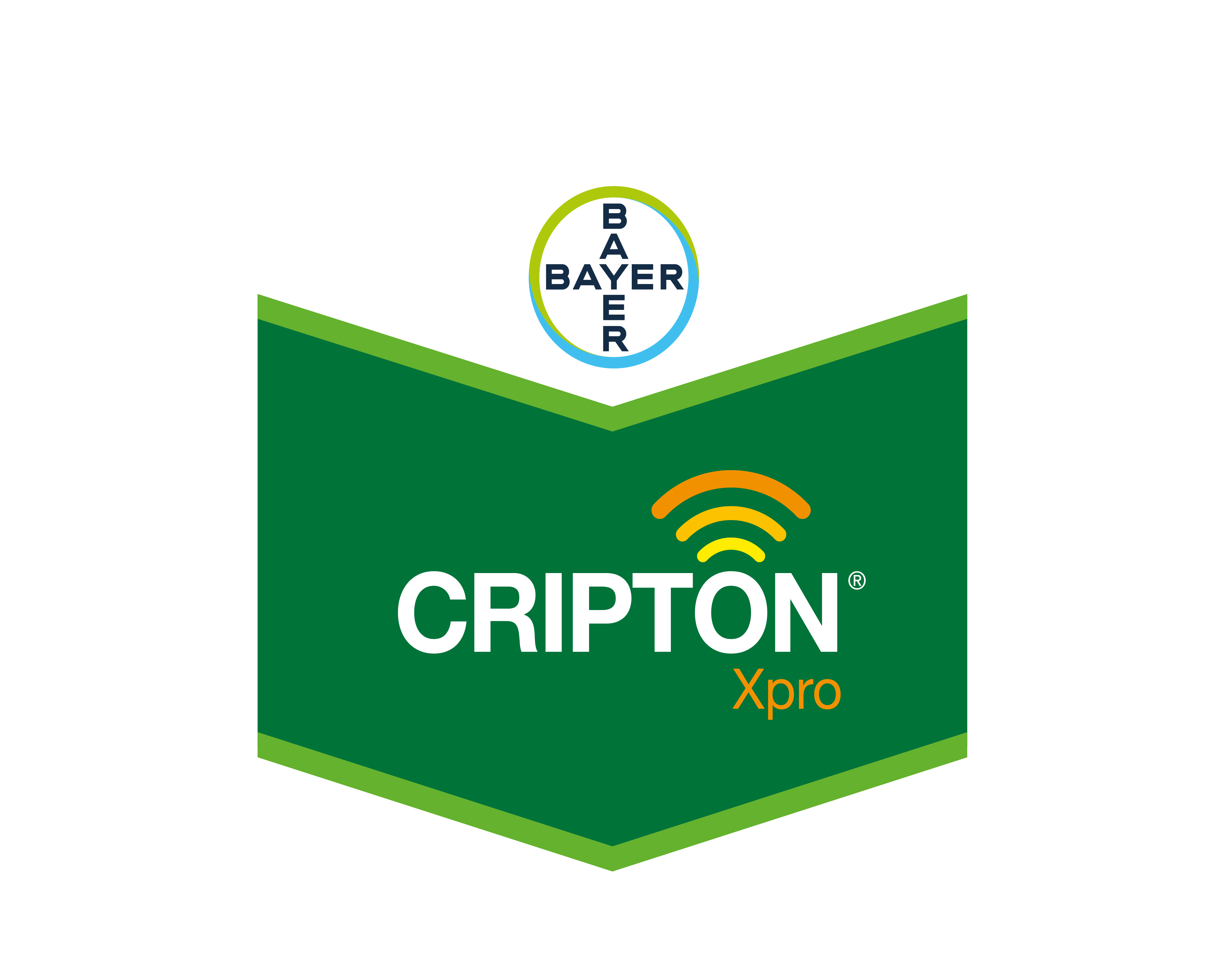 cripton xpro