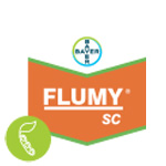 Flumy