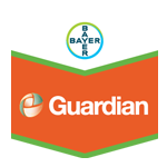 guardian