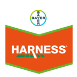 Harness