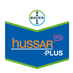 Hussar