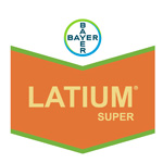 Latium
