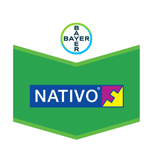 nativo