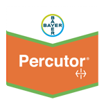 Percutor