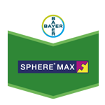 sphere
